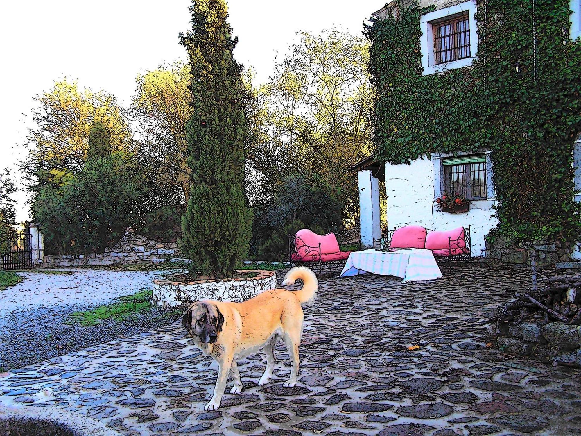 Casa Rural Cortijo Del Zoco Bajo Pozoblanco Luaran gambar